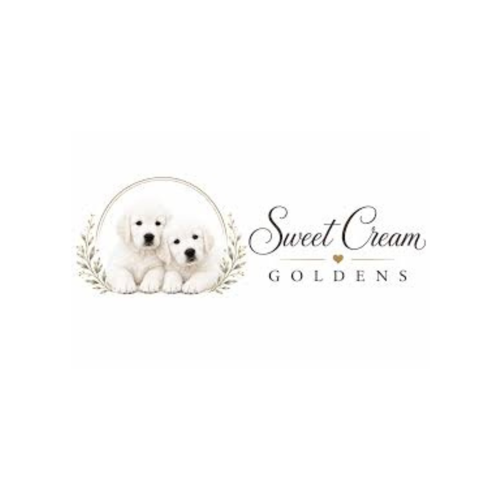 SweetCream Goldens